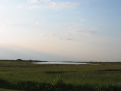 looking over the Spartina marsh and Butterowe Bayou in Galveston Island State Park