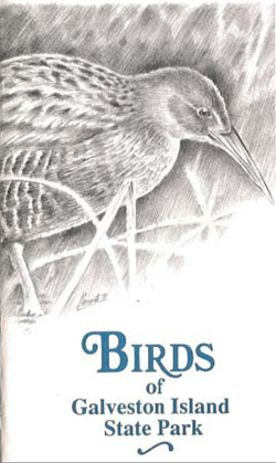clapper rail illustration on the cover of the Galveston Island State Park bird checklist