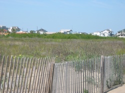 looking east from the beach towards the border of the Galveston Island State Park
